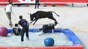 Rousson : un été gratuit et festif avec toro piscine et concerts