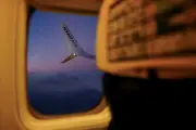 Ryanair : bénéfices plombés par la crise en mer Rouge malgré plus de passagers
