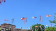 Saint-André-de-Sangonis : défi de la plus grande ombrière de France au crochet