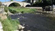 Sécheresse en Lozère : alerte renforcée pour cinq bassins versants