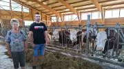 Sécheresse en Lozère : les vaches déjà à la ration d'hiver en juillet