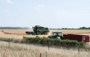 Sécheresse et moissons : les agriculteurs face au risque d'incendie