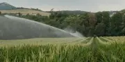 Sécheresse : la Coordination rurale appelle à ne pas respecter les restrictions d'eau