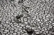 Sécheresse record : les sols français à leur niveau le plus sec depuis 1959