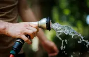 Sécheresse : restrictions d'eau et conflits de voisinage en France