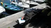 SDF de 65 ans retrouvé mort près de Montpellier : une mort naturelle privilégiée