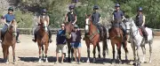 Six cavalières d'Alès en route pour les championnats de France équestres