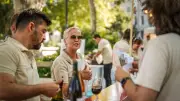 Soirées vigneronnes dans le Gard : notre sélection estivale 2026