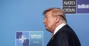Sommet Otan à Ankara : Trump dynamite l'unité des alliés