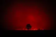 Soutien du Prince Albert II et de la Princesse Charlène aux victimes des incendies en Europe