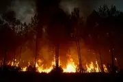 Stephen Pyne : le réchauffement climatique crée un Âge du feu