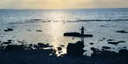 Sur l'île suédoise de Fårö, sur les traces d'Ingmar Bergman