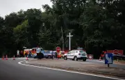 Suspicion d'incendie volontaire en forêt de Fontainebleau : un homme interpellé