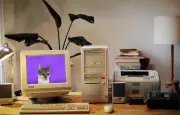 Tant d'écrans : le site Neal.fun et son mini-jeu addictif