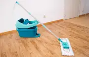 Test Leifheit Profi XL : balai serpillière efficace et hygiénique