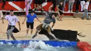 Toro piscine, concerts, visites : l'agenda du mercredi 8 juillet dans le Gard