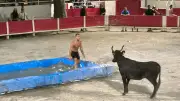 Toro-piscine à Redessan : sensations et rires garantis aux arènes