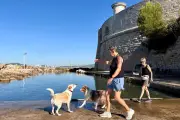 Toulon : la cani-plage de la Tour Royale ravit les maîtres et leurs chiens