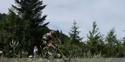 Tour de France 2026 : Vingegaard forfait, Pogacar sans rival