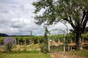 Tour de France des vignerons et cavistes : notre sélection 2021