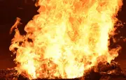 Train piégé par un feu de forêt en Ontario : les employés évacués sains et saufs