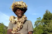 Tresse d'ail de 10 mètres pour alerter sur la détresse agricole