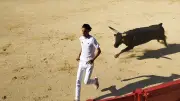 Trois soirées camarguaises aux arènes de Villeneuve-lès-Maguelone
