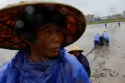 Typhon Bavi: près de 900 000 personnes évacuées en Chine