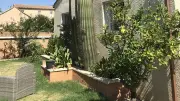 Un cactus géant de 24 ans domine le jardin d'un habitant de Sauvian