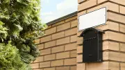 Une chienne Yorkshire découverte enfermée dans une boîte aux lettres en Virginie