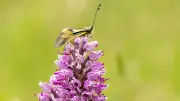 Une semaine d'animations au Méjean du 15 au 19 juillet