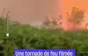 Une tornade de feu se forme lors de l'incendie de Saumos dans le bassin d'Arcachon