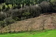 Vague de reculs environnementaux dans l'UE depuis 2020