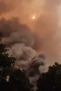 Vagues de chaleur répétées : un cocktail parfait pour les incendies
