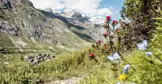 Val d'Isère : destination estivale authentique pour la randonnée en Vanoise