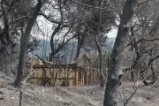 Var : 2 500 hectares brûlés, les pompiers luttent contre les reprises