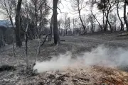 Var : 650 pompiers mobilisés, un hélicoptère Puma Charlie en renfort