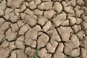 Var : 77 communes en alerte sécheresse, restrictions d'eau renforcées
