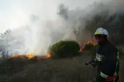 Var : accès déconseillé à quatre massifs forestiers pour risque sévère d'incendie