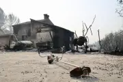 Var : désolation à Cotignac après le passage des flammes, 2500 hectares brûlés