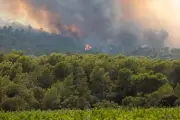 Var et Gironde : 2 500 et 1 000 hectares brûlés, les pompiers en lutte
