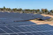 Var : la préfecture bloque un parc solaire pour protéger les zones humides