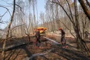 Var : les pompiers sous pression face à une semaine à haut risque d'incendie