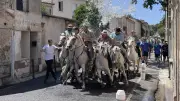 Vendargues : fin des fêtes votives en beauté avec une journée Farwest