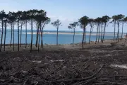 Vers une « échelle de Richter » des incendies pour mesurer l'impact écologique