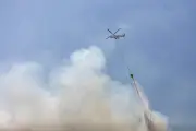 Vidauban : 1 000 m² de végétation brûlés, feu rapidement contenu