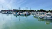 Visite commentée du port du Chichoulet avec dégustation de coquillages