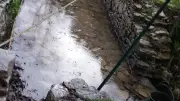 Visite guidée de la source de l’Argane à Marguerittes le 11 juillet