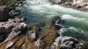 Visites guidées gratuites à Réals : histoire et paysages