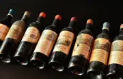 Vol de grands crus à Eysines : un homme interpellé avec 44 bouteilles